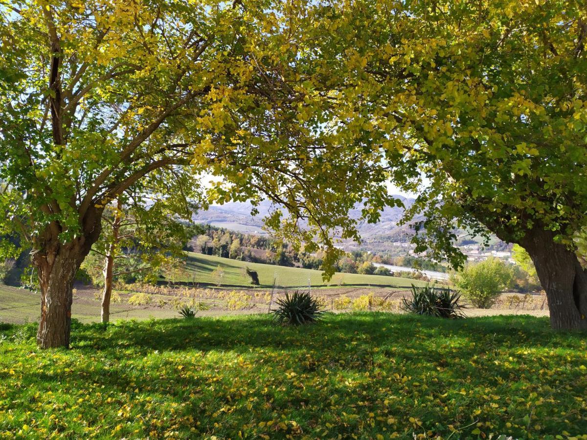 Marzolara.