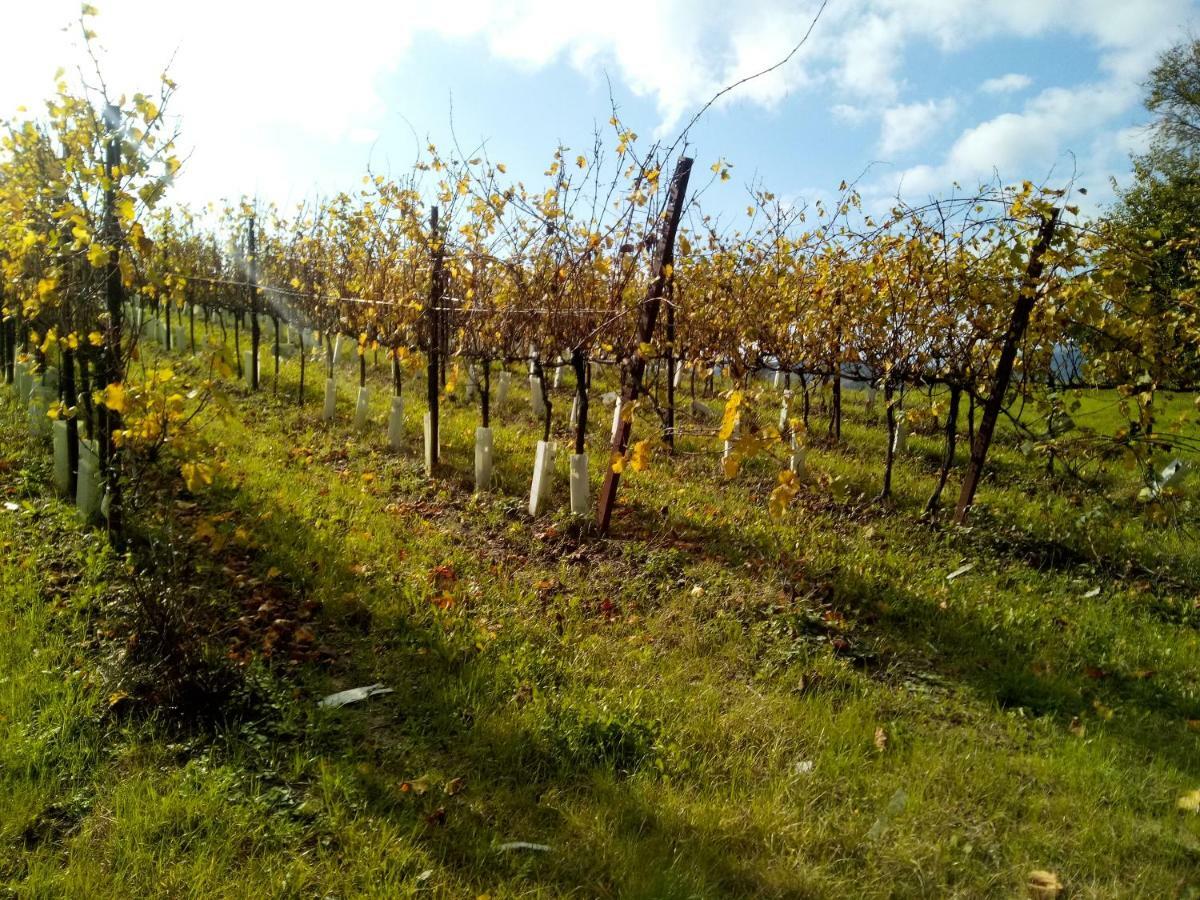 Alloggio per agriturismo Marzolara.