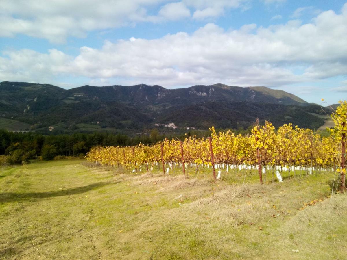 Marzolara. Agroturismo *