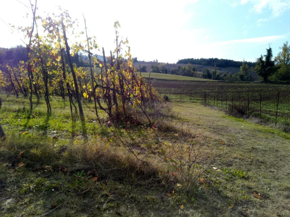 Agroturismo Marzolara.